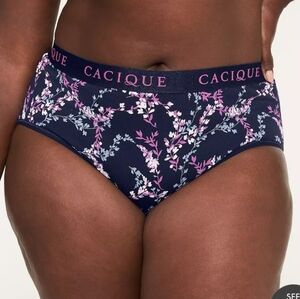 Cacique 18/20 Cotton High Leg Brief